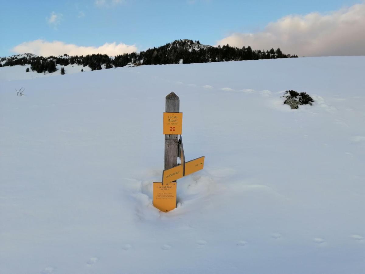View On Vanoise Mountain - 3 Bedrooms 70m2 Cevins