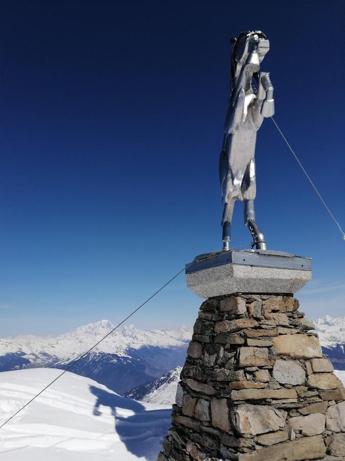 View On Vanoise Mountain - 3 Bedrooms 70m2 Chalet *